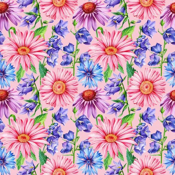 Blumen Kornblume, Echinacea und Blauglocke, florales Design, Wildblumen Aquarell nahtloses Muster — Stockfoto