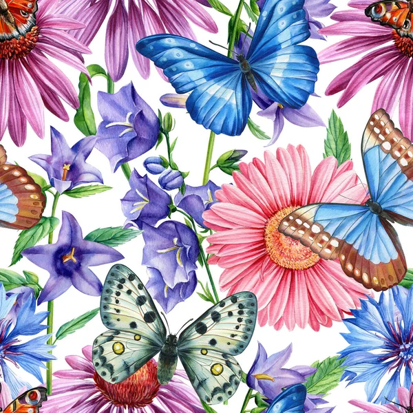 Kwiaty i motyl, echinacea, chabry, gerbery i dzwon, rysunki akwareli, wzory kwiatowe, bezszwowy wzór — Zdjęcie stockowe