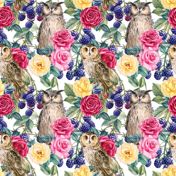 Seamless pattern, branches of blackberries, roses flowers and birds owl, watercolor botanical illustration — Stock Photo, Image