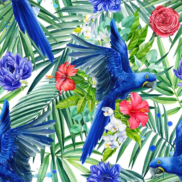 Modré papoušky a tropické květy ibišku, palmové listy na bílém pozadí, ilustrace akvarelu. Bezešvé vzory. — Stock fotografie