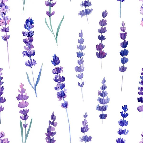 Levandule květiny na izolovaném pozadí, akvarel ilustrace. Bezešvé vzory — Stock fotografie