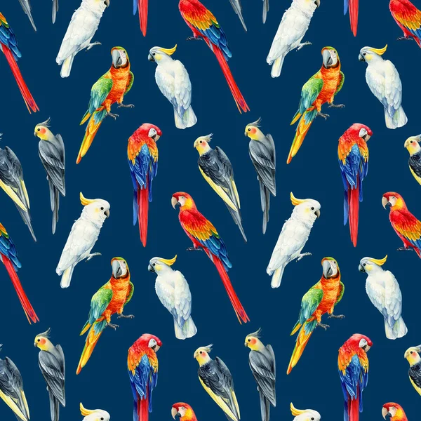 Ptaki tropikalne, papugi akwarelowe. Płynne wzory ręcznie rysowane — Zdjęcie stockowe