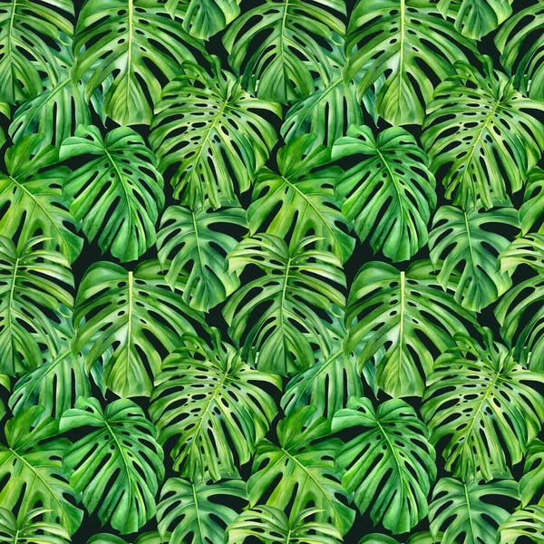 Folhas de palma, monstera. Padrão sem costura, design da selva — Fotografia de Stock