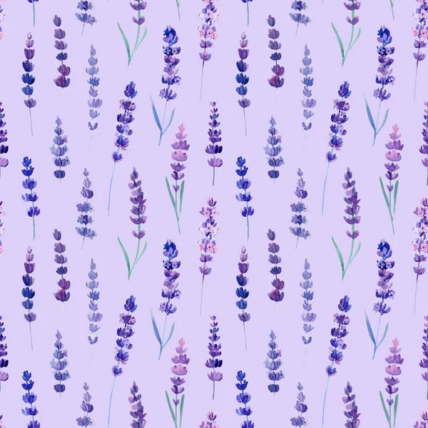 Lavender flowers, watercolor illustration. Seamless patterns