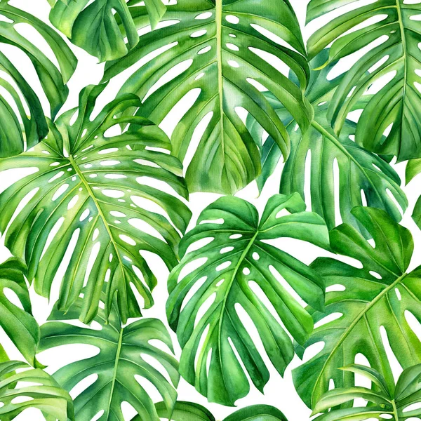 Hojas de palma, monstera. Patrón sin costura de acuarela. Ilustración tropical —  Fotos de Stock