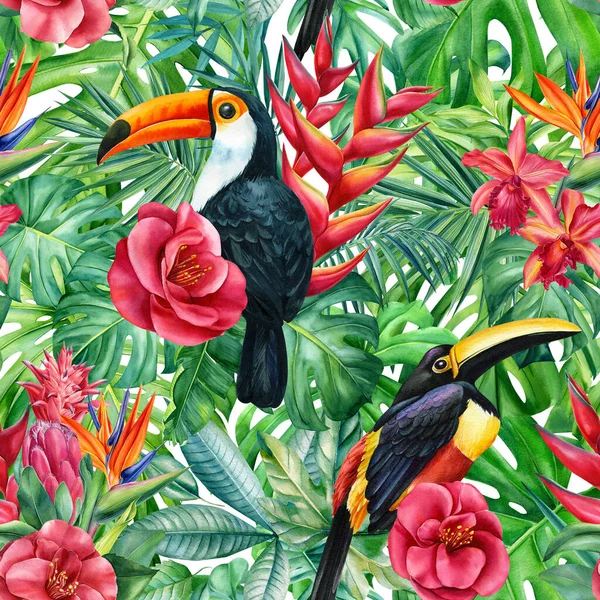 Toucan fåglar och heliconia, camellia blommor. Sömlöst mönster av tropiska blad. djungel bakgrund, vilda djur — Stockfoto