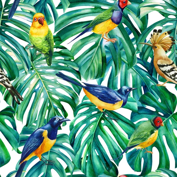 Дикая природа иллюстрации. Дизайн джунглей. Листья монстры, удод и скворцовые птицы. бесшовный узор — стоковое фото
