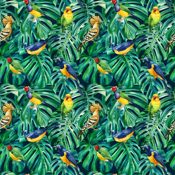 Monstera deixa ilustração floral, capuz e aves estorninho. padrão sem costura, projeto da selva — Fotografia de Stock