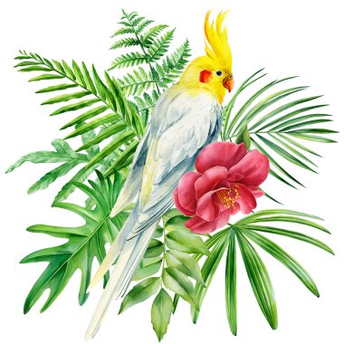 İzole edilmiş beyaz arka planda papağan ve palmiye yaprakları, suluboya çizimi. Papağan, el çizimi.
