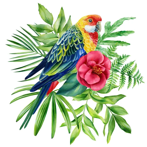 Papagaio e folhas de palma sobre fundo branco isolado, ilustração aquarela. Clipart da selva — Fotografia de Stock