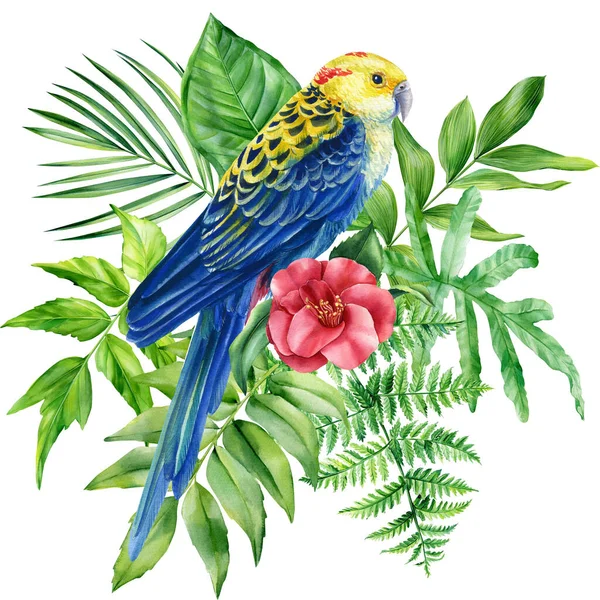 Feuilles de perroquet et de palmier sur fond blanc isolé, illustration aquarelle. Clipart de jungle — Photo