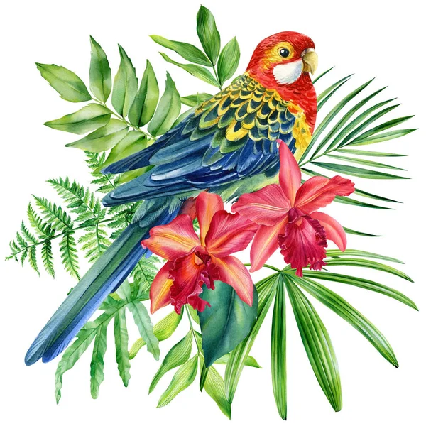 Papagáj és pálma levelek elszigetelt fehér háttér, akvarell festmény dzsungel illusztráció — Stock Fotó