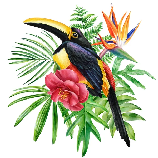 Плакат Тукан і квіти на ізольованому білому тлі, тропічний акварельний живопис птахів, ілюстрація — стокове фото