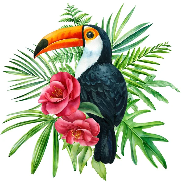 Toucan és virágok elszigetelt fehér háttér, trópusi madár, akvarell illusztráció — Stock Fotó