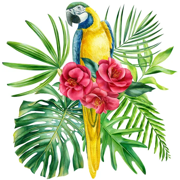 Macaw papagáj és levelek elszigetelt fehér háttér, Plakát trópusi madár akvarell illusztráció — Stock Fotó
