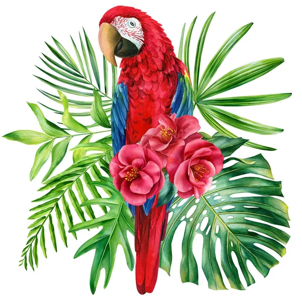 Macaw papagáj és virágok elszigetelt fehér háttér, Plakát trópusi madár akvarell illusztráció kézi rajz — Stock Fotó