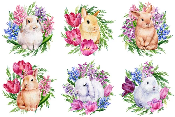 Sada králíčků a květin na bílém izolovaném pozadí, akvarel ilustrace, krásné králíky — Stock fotografie