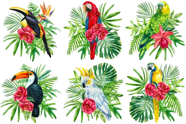 孤立的白色背景上的招贴画鹦鹉和花朵，热带鸟类水彩画，插图 — 图库照片