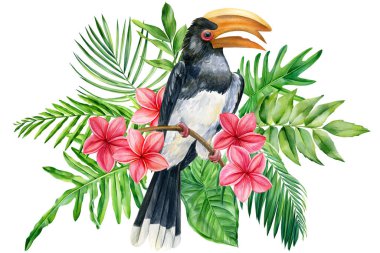 Tropik kuş ve palmiye yaprakları, Plumeria çiçekleri. Tukan suluboya orman resmi