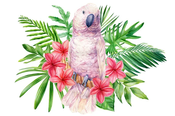 鹦鹉、热带树叶和水仙花。在白色背景上孤立的水彩画 — 图库照片