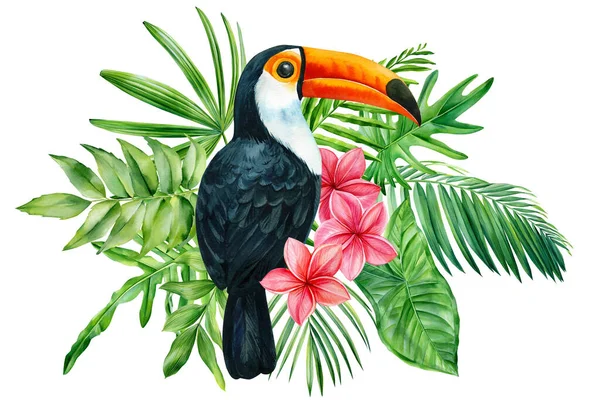 Kuş, tropikal yapraklar, tesisat çiçekleriyle süslü egzotik bir illüstrasyon. Beyaz arkaplanda izole edilmiş Tukan suluboya — Stok fotoğraf
