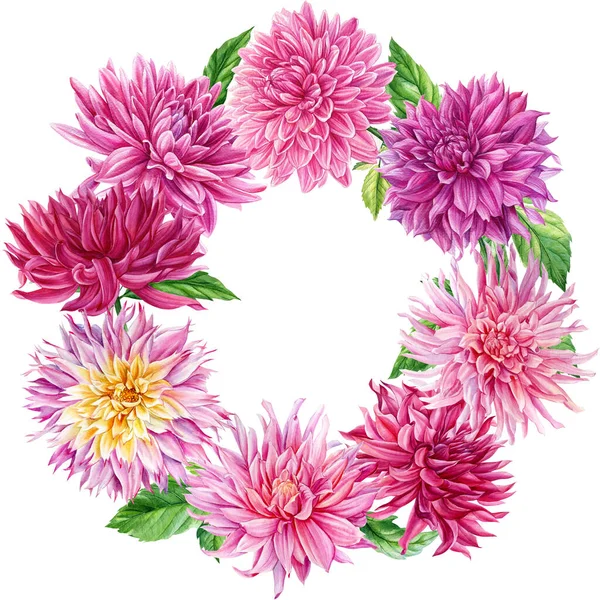 ピンクのダリアの花や葉のリース、水彩植物のイラスト。花のデザイン — ストック写真