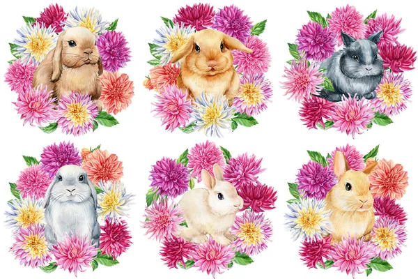 Conjunto de flores y conejitos sobre fondo blanco aislado, acuarela ilustración animal —  Fotos de Stock