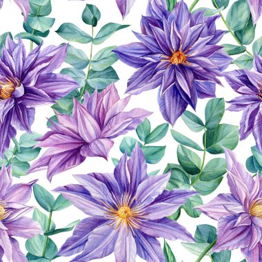 Kusursuz desenler. Çiçek arkaplan. Clematis çiçekleri ve okaliptüs. Suluboya botanik çizimi