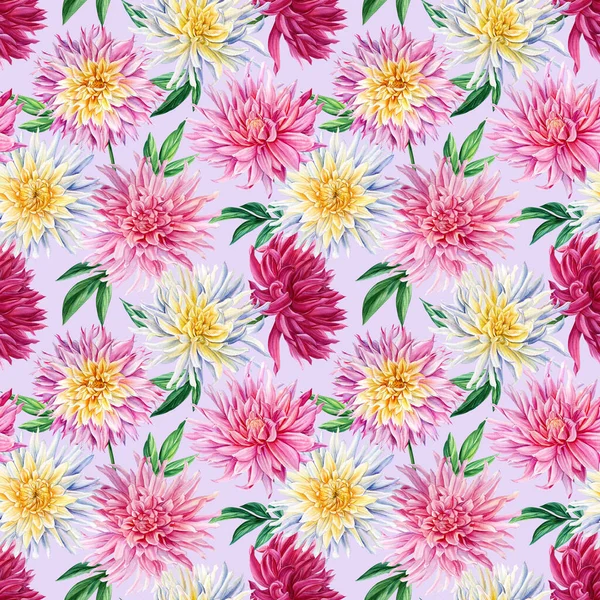 Flores Dahlias, fundo violeta floral. Flora aquarela ilustração botânica. Padrões sem costura. — Fotografia de Stock