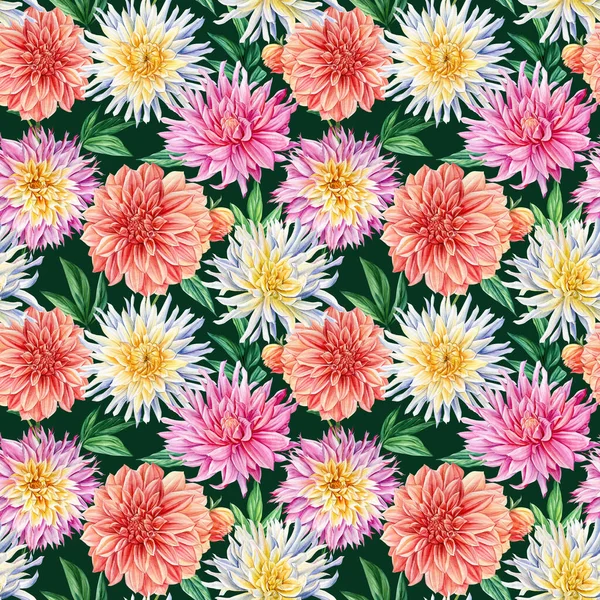 Fiori di Dahlia, sfondo floreale. Illustrazione botanica ad acquerello. Modelli senza soluzione di continuità. Vintage floreale. — Foto Stock