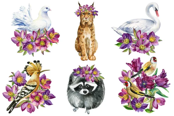 Lindos pájaros y animales con flores hellebore sobre fondo blanco aislado, ilustración de acuarela, cartel digital —  Fotos de Stock