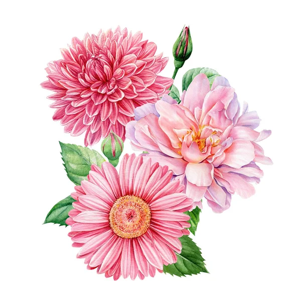 Virágcsokor, rózsaszín dália, ikra, gerbera elszigetelt fehér háttér, akvarell botanikai illusztráció — Stock Fotó