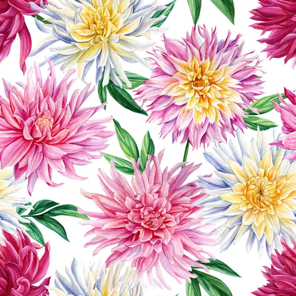 Dahlias blommor, isolerad vit bakgrund. Akvarell flora botanisk illustration. Sömlösa mönster. — Stockfoto