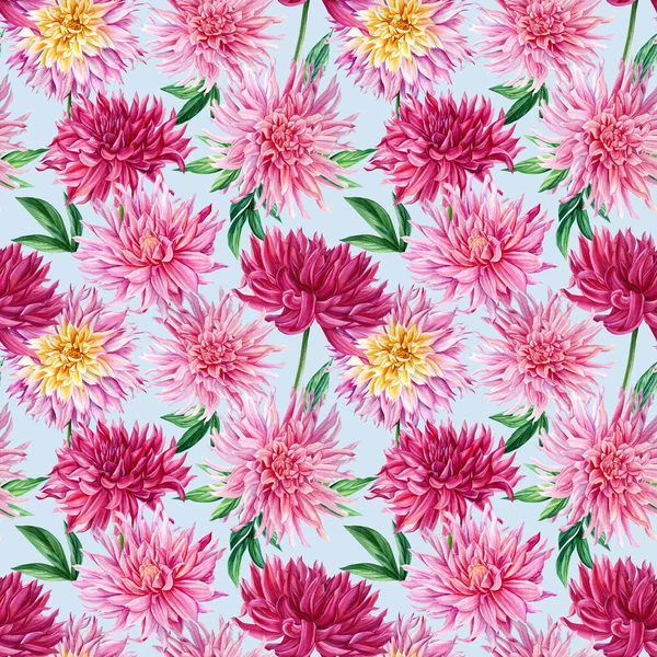 Flores Dahlia, fundo floral. Ilustração botânica aquarela. Padrões sem costura. Vintage floral. — Fotografia de Stock