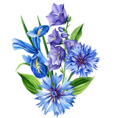 Mavi çiçekler, bir buket mavi çan, iris ve kır çiçekleri ıssız bir arkaplanda, suluboya resimleme