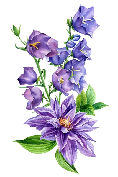 Flores azuis, buquê de flores silvestres em um fundo branco isolado, ilustração aquarela, desenho à mão — Fotografia de Stock