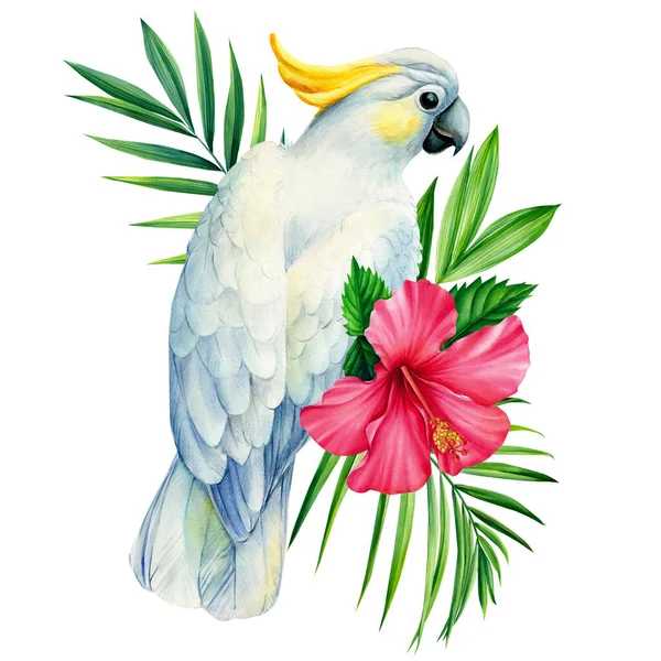 Gyönyörű virágos egzotikus akvarell illusztráció kakadu papagáj, trópusi levelek és hibiszkusz virágok. — Stock Fotó