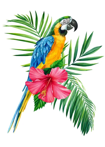 Ilustração aquarela exótica floral com papagaio arara, folhas tropicais, hibisco. Isolado sobre fundo branco — Fotografia de Stock