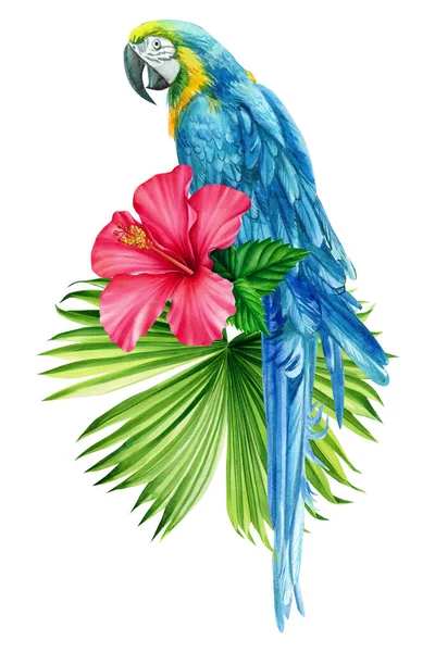 Blå papegoja, tropiska blad, hibiskus. Isolerad på vit bakgrund.Akvarell blommig exotisk illustration — Stockfoto