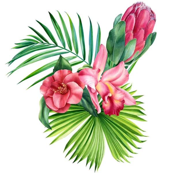 Tropical palm leaves and flower, isolated white background, watercolor painting, jungle design — ストック写真