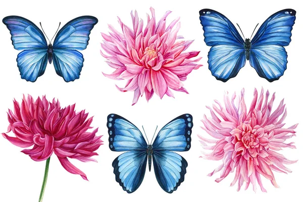 Bela ilustração floral com borboletas e flores dahlia, isolado no fundo branco — Fotografia de Stock