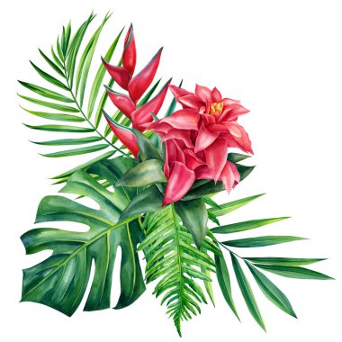 Tropik yapraklar, palmiye ve helezon çiçekleri. Suluboya çizimi