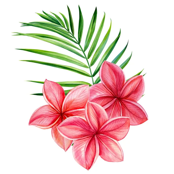 Tropical palm leaves and plumeria frangipani flowers. Watercolor illustration — Stock Photo, Image