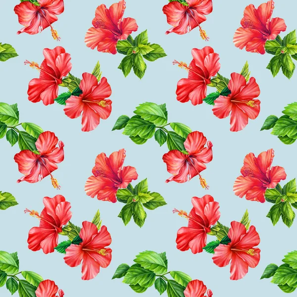 Flores rojas tropicales, hibisco acuarela ilustración botánica. Patrones florales sin costura sobre fondo azul —  Fotos de Stock