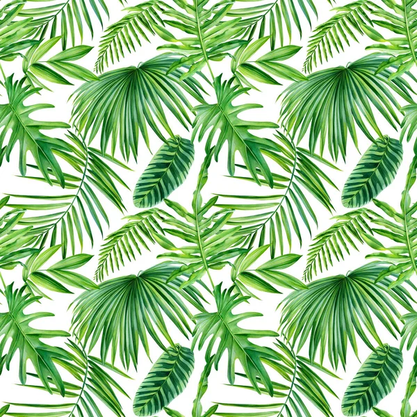 Foglie di palma, pianta tropicale, acquerello illustrazione botanica. Foglia verde Modelli senza cuciture. — Foto Stock