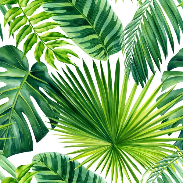 Hojas de palma tropical, hojas de la selva sin costuras acuarela patrón floral —  Fotos de Stock
