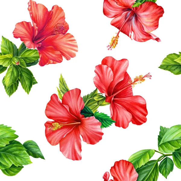 Tropikalne czerwone kwiaty, hibiskus akwarela botaniczna ilustracja. Kwiatowe wzory bez szwu. — Zdjęcie stockowe