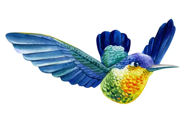 Aquarel Kolibrie Flying Hand Drawn Zomer Illustratie geïsoleerd op witte achtergrond — Stockfoto