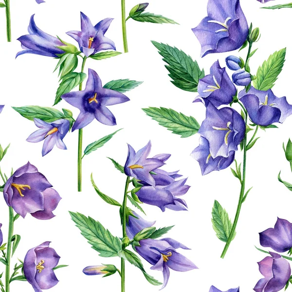 Mavi çiçekler, BlueBell. Suluboya çiçekler. Kır çiçekleriyle kusursuz desenler — Stok fotoğraf