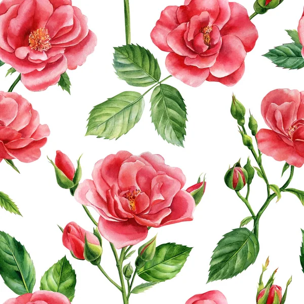 Roses, buds and leaves on an isolated background. Watercolor flowers. Seamless patterns — Stock Photo, Image